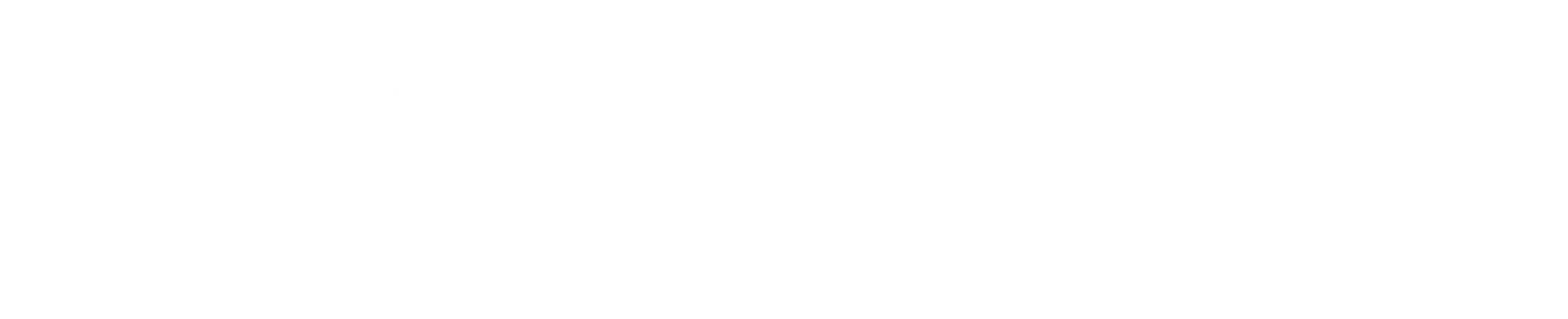 de.nutrisolution.eu Logo