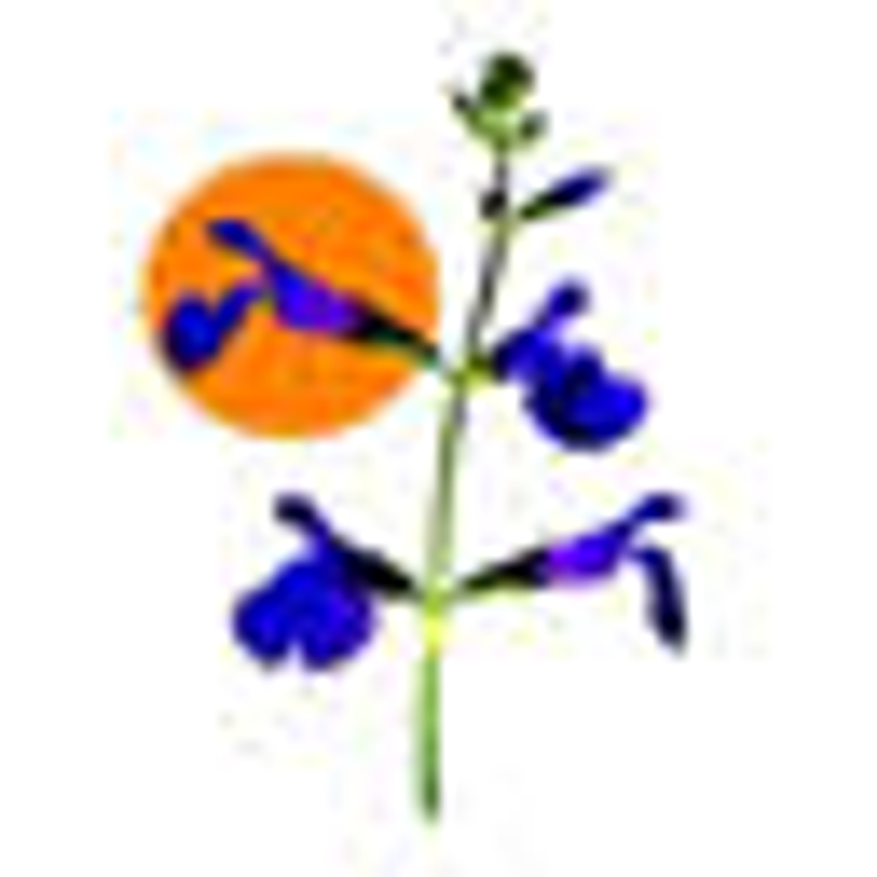 Deaflora Logo
