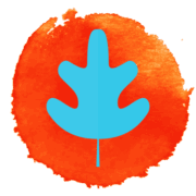 Robert Welti - Dein Gesundheitsbusiness Logo