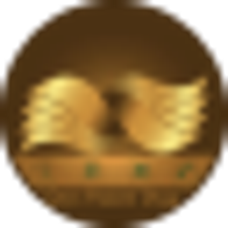 Dein Patent Shop Logo