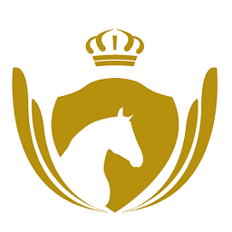 Deluxehorse.de Logo