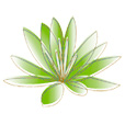 Derma One Logo