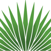 Dermmatch Logo