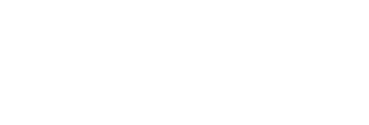 Deutsche Informatik-Akademie GmbH Logo