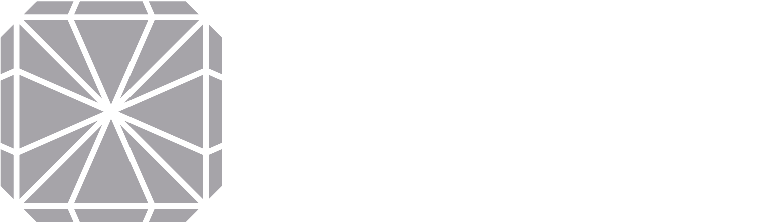 Diamond Solution Logo