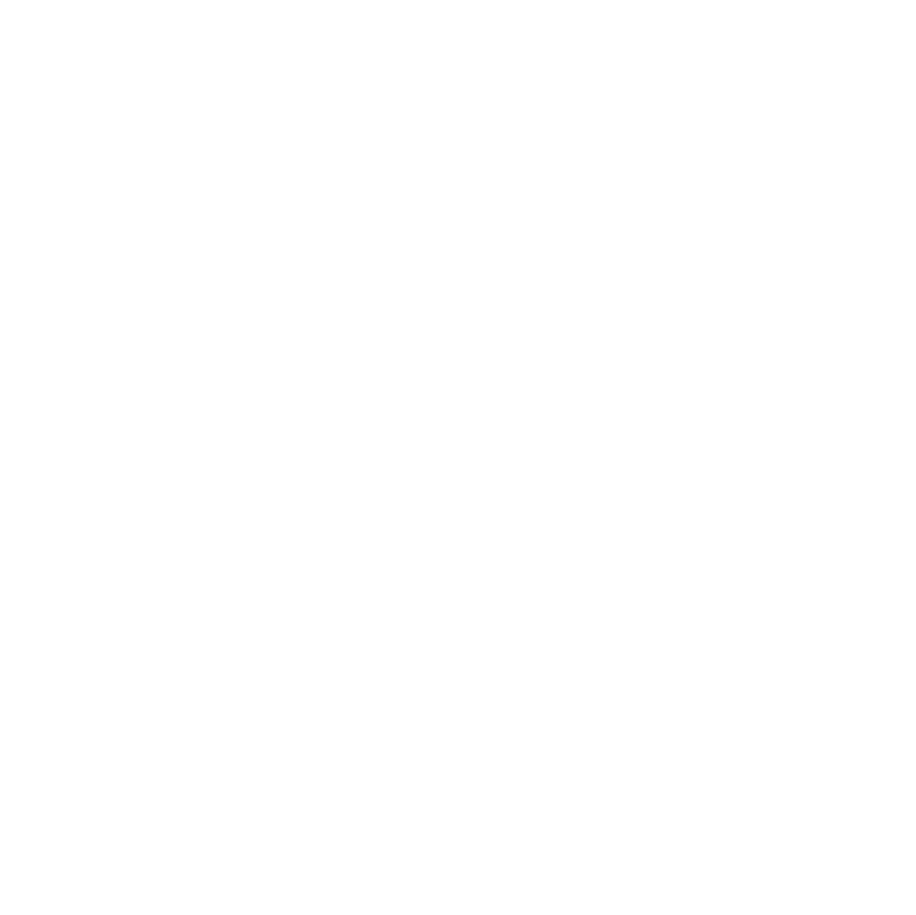 Die Reisebotschafter - Cruising Reise GmbH Logo