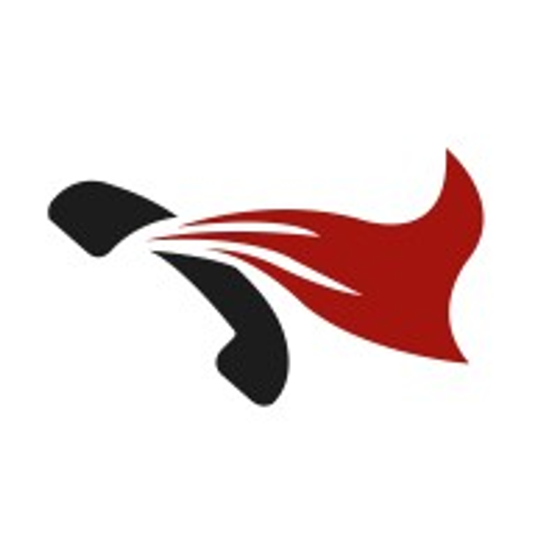 Die Telefonhelden Logo