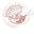 dieringmacher.shop Logo