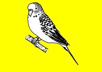 Diewellis Logo