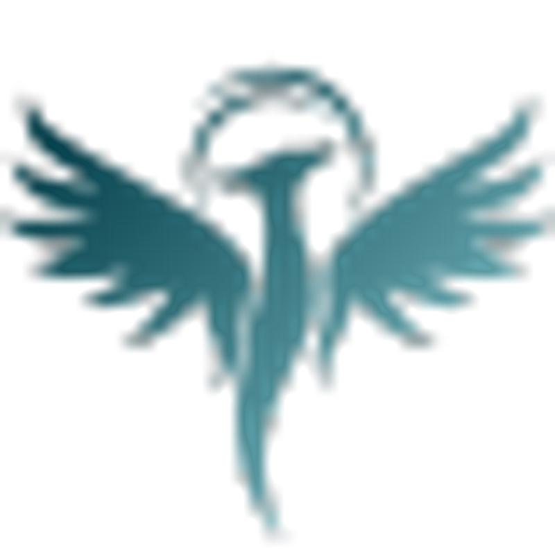 Digital Schirm Inh. Hasan Tekgöz Logo