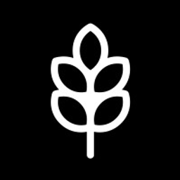 Digital Seed Logo