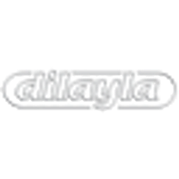Dilayla Logo