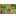Dinispflanzenwelt Logo