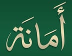 Dirgam Önal Logo