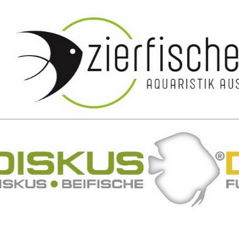 diskus-direkt.de Logo