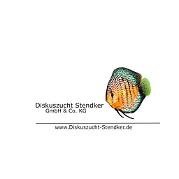 Diskuszucht Stendker Logo