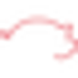 Distinti Salumi Logo