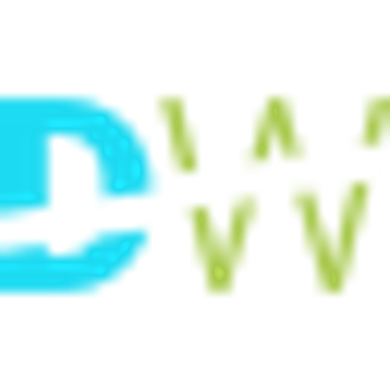 DIWI Hausbetreuung Logo