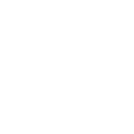 docsginger.de Logo