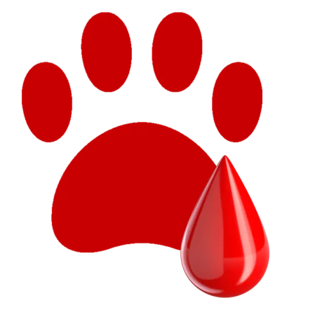 DogWalker Essen Hundetrainer Jörg Müller Logo