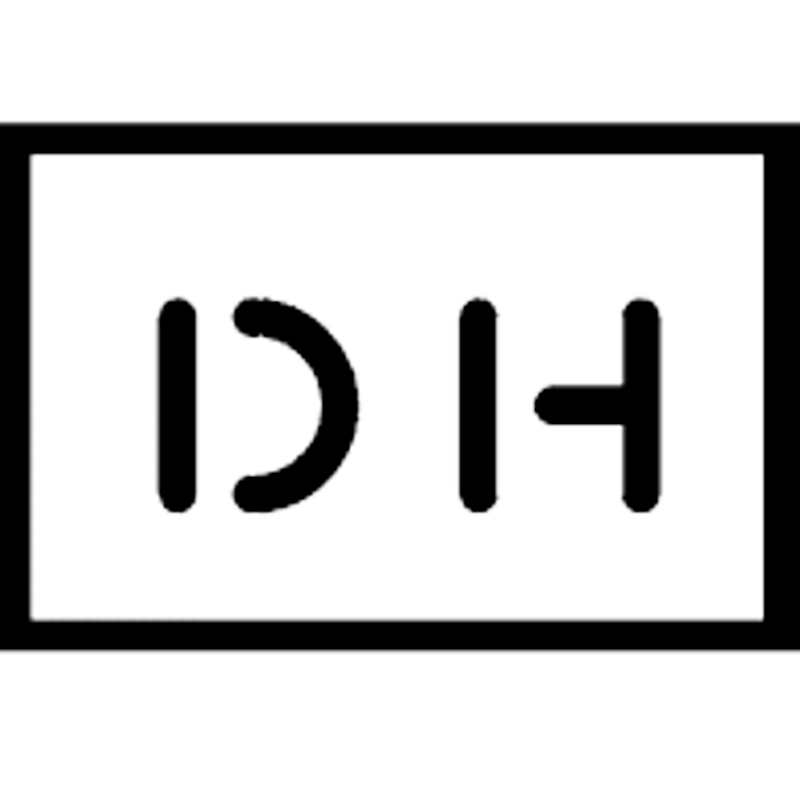 DomiHirtl Consulting & Webdesign Logo