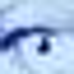 Simon Eva Dr.med. Logo