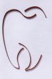 Gehlen Gerrit Dr.med.dent. Zahnarztpraxis Logo
