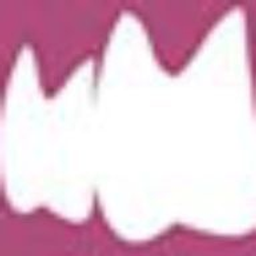 Dr. med. dent Saskia Holstiege, Zahnärztin Münster Logo