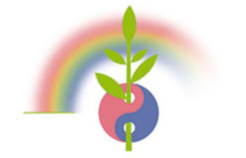 Lusser Andrea Dr. med. Ärztin für Naturheilverfahren Logo