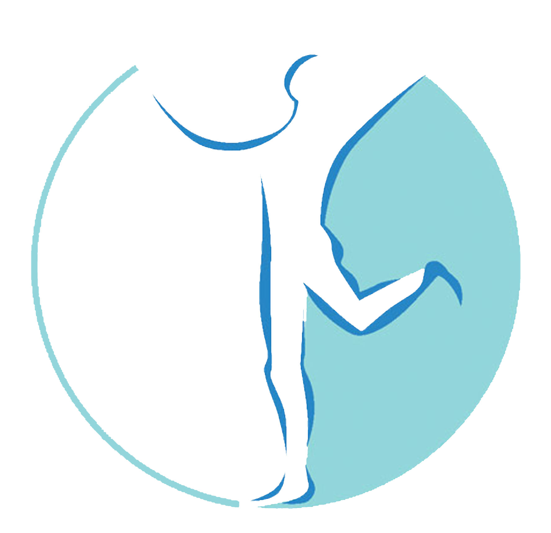 Stehle Dominik Logo