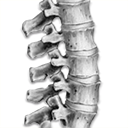 Theodoridis Theodoros Dr. med. Orthopädische Privatpraxis Logo