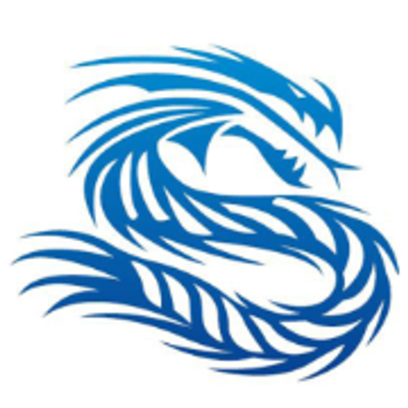Drachenbootshop Logo