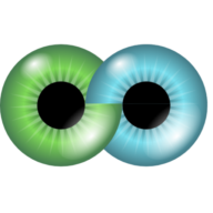 Holak Nikolai Dr. med. Logo