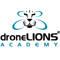 Dronelions Logo