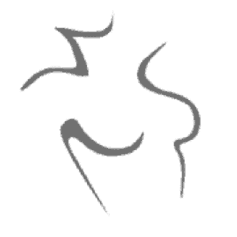 Dr. med. Patrick Bauer - Plastischer Chirurg Logo