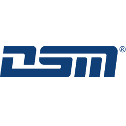 DSM Messtechnik GmbH Logo