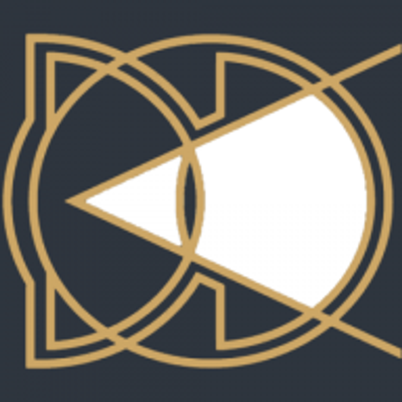DD- Detektei Dudzus UG Logo