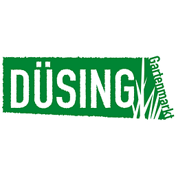 duesing-ggg.de Logo
