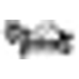 Dutch Isopods Logo