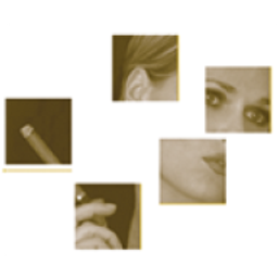Dutchtobacconist Logo
