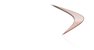 DVZ Datenverarbeitungszentrum Gera GmbH Logo