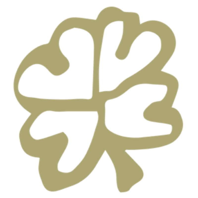 Echt Irland Reisen Logo
