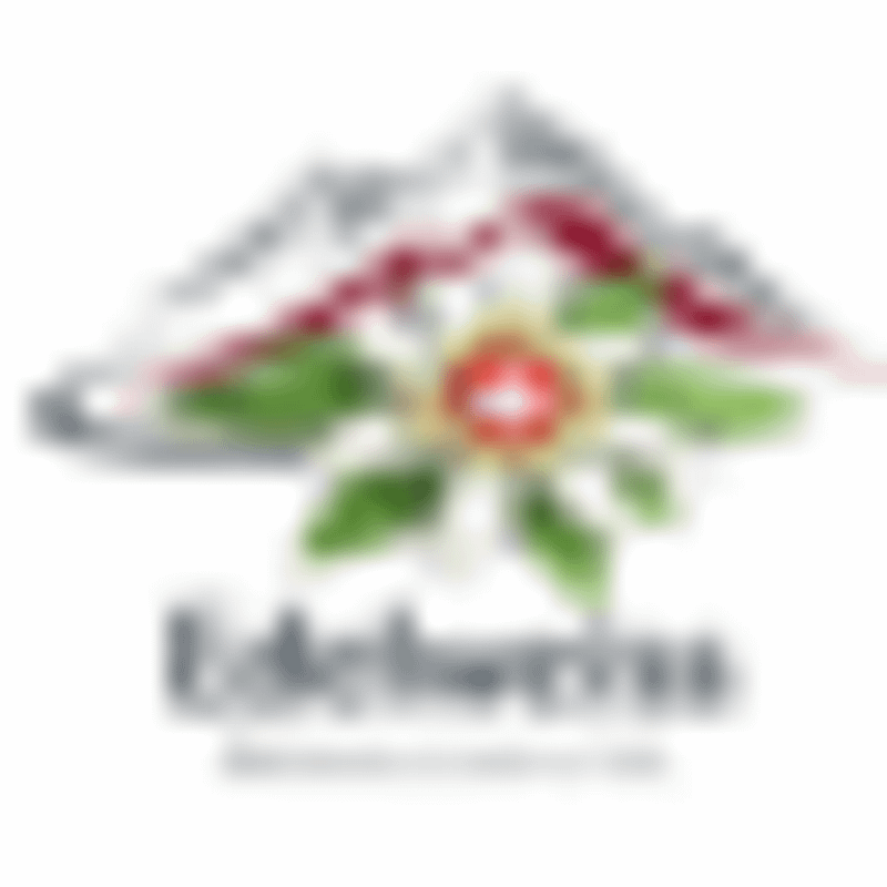 Edelweiss Rénovation SA Logo