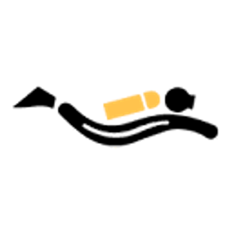 edivingpass.com Logo
