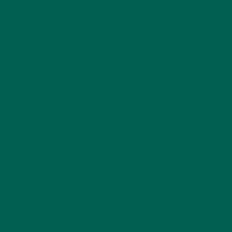 EDV-Hunter EDV-Schulung u. Internet Logo