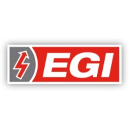 EGI Elektro - Service GmbH Logo
