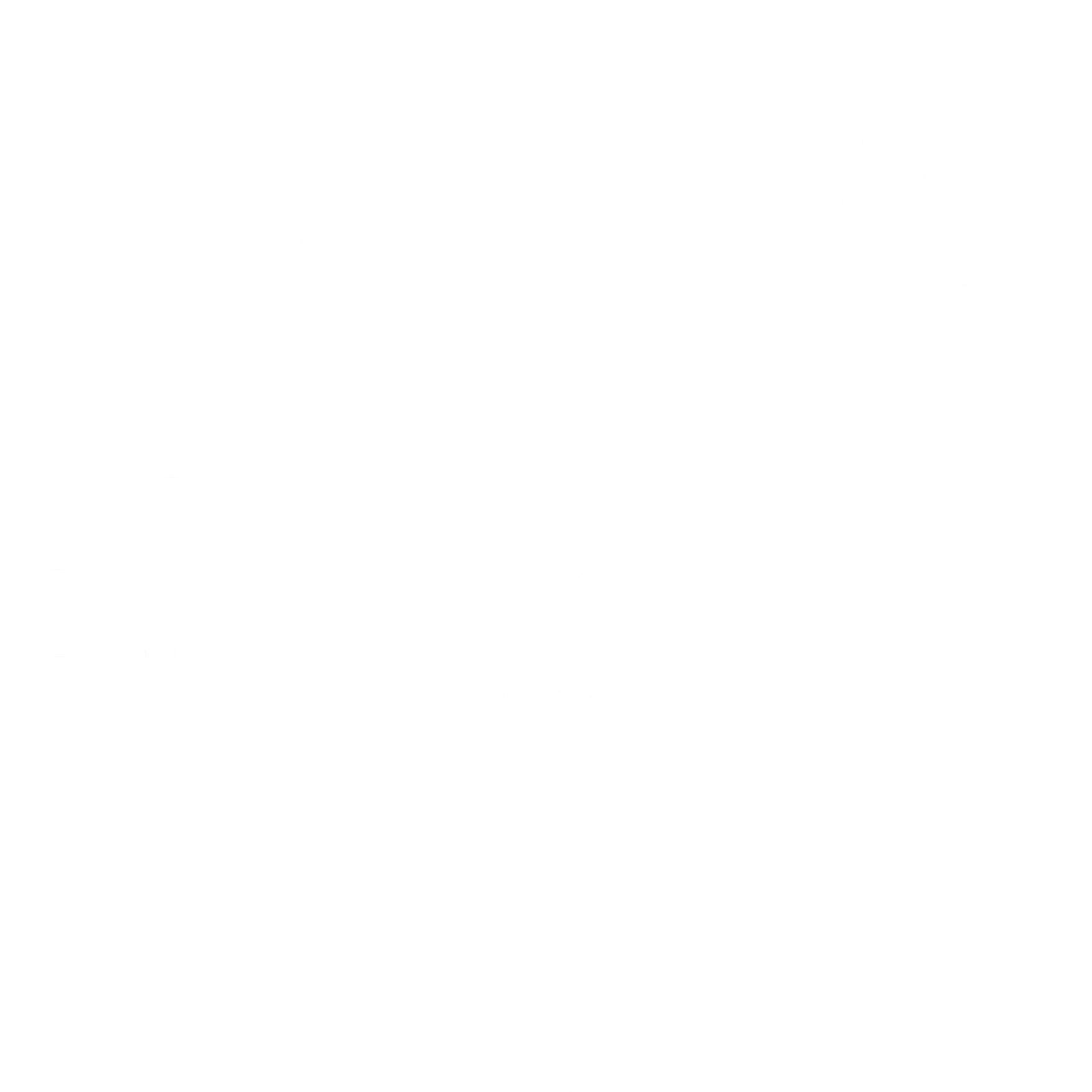 Bächle Klaus Logo
