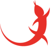 EIDEX GmbH Logo