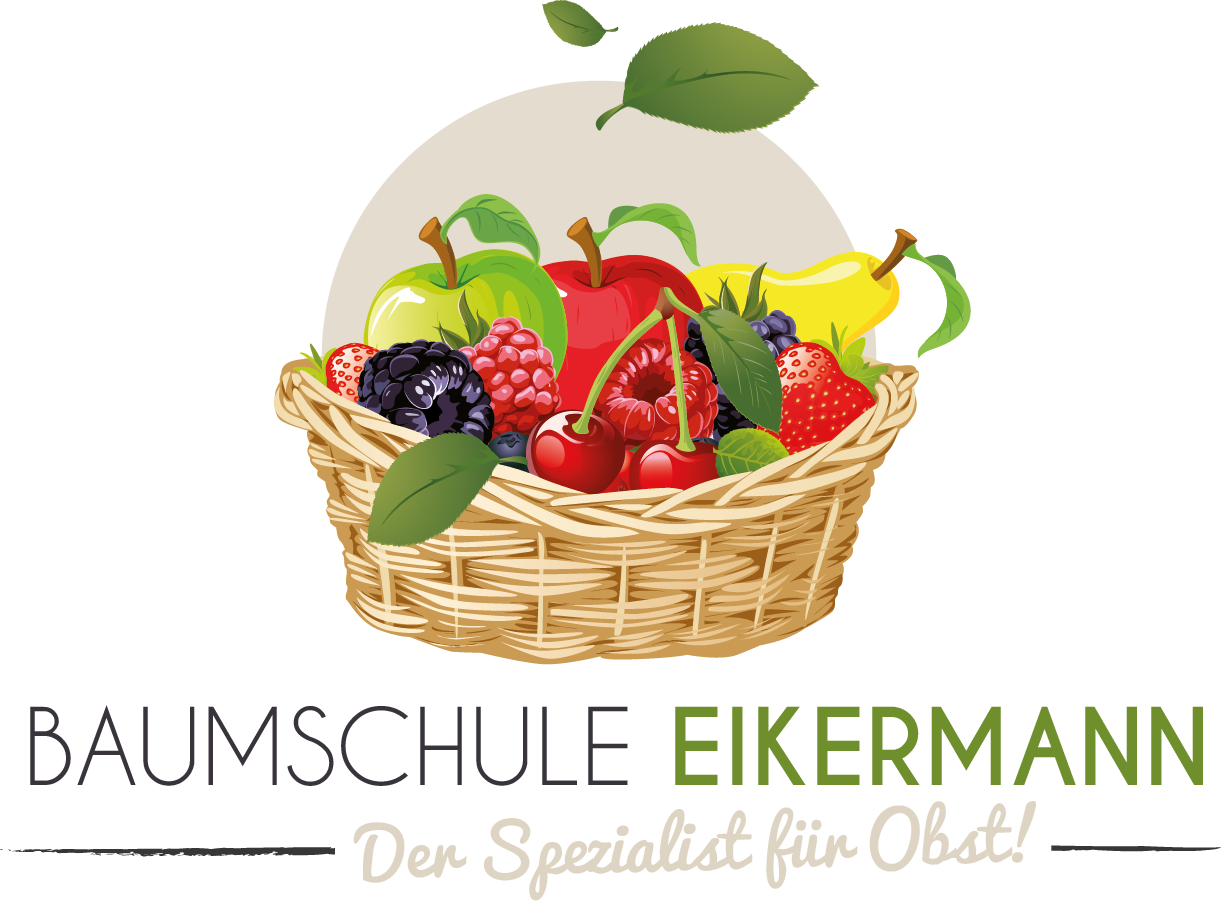 Eikermann Logo