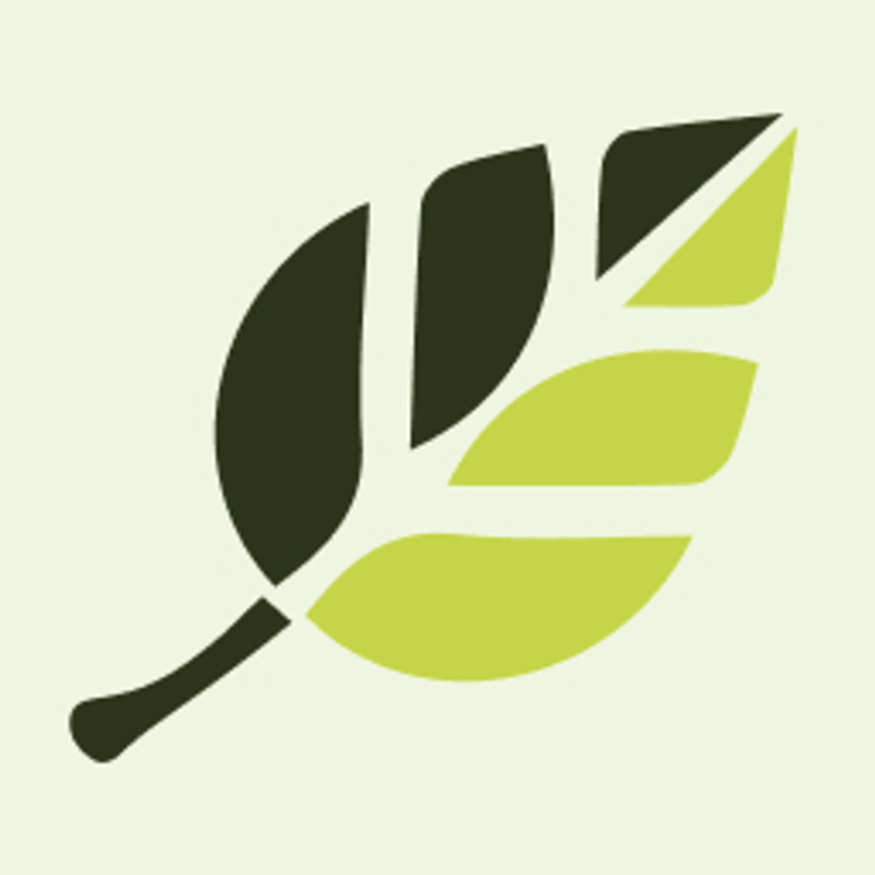 Einblatthygiene Logo
